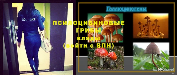 мдма Горнозаводск
