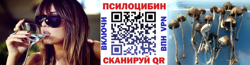 Купить где  Лабытнанги  Псилоцибиновые грибы мицелий 